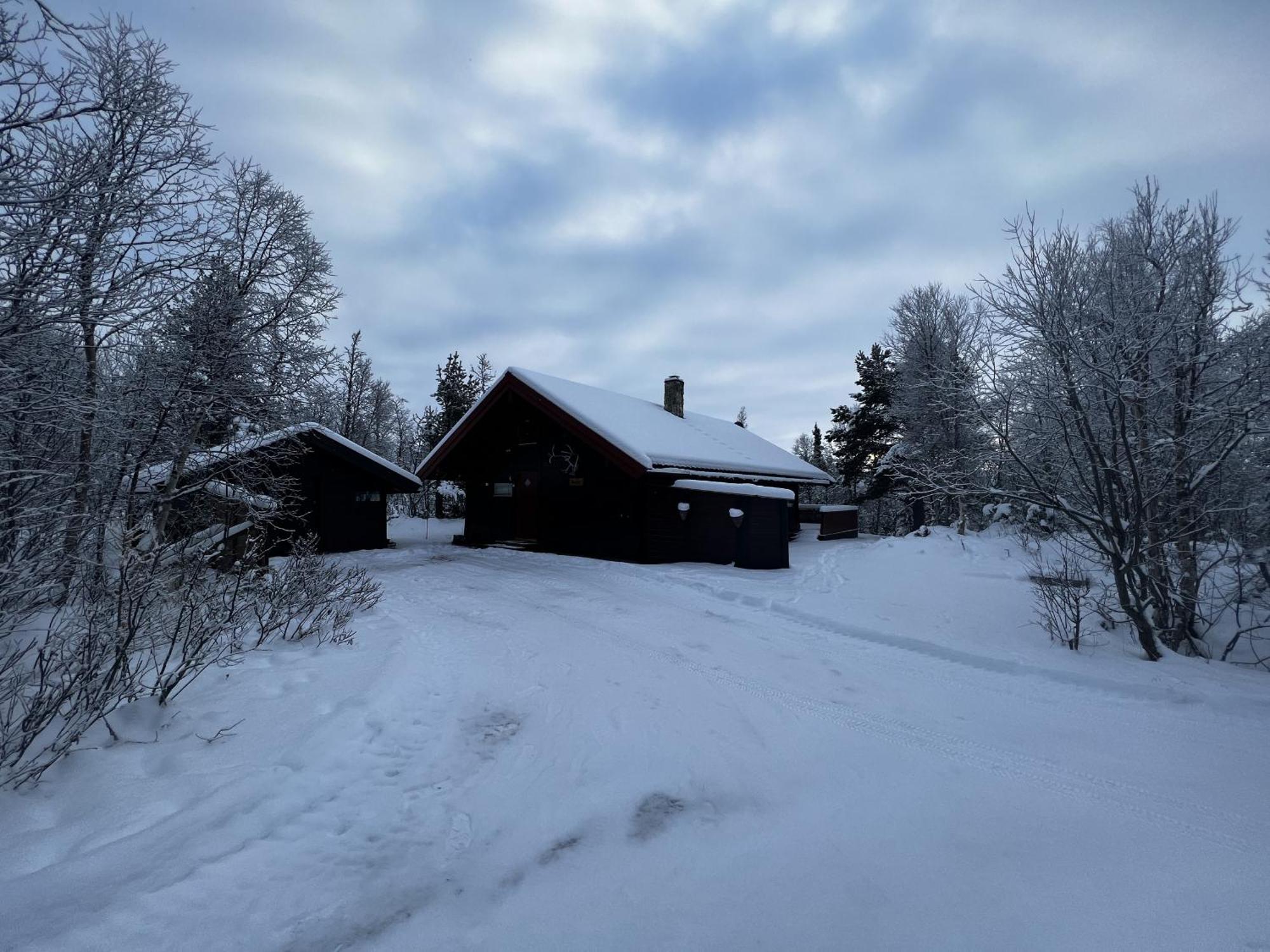 Koselig Hytte Med Usjenert Og Solrik Beliggenhet Гейло Екстериор снимка