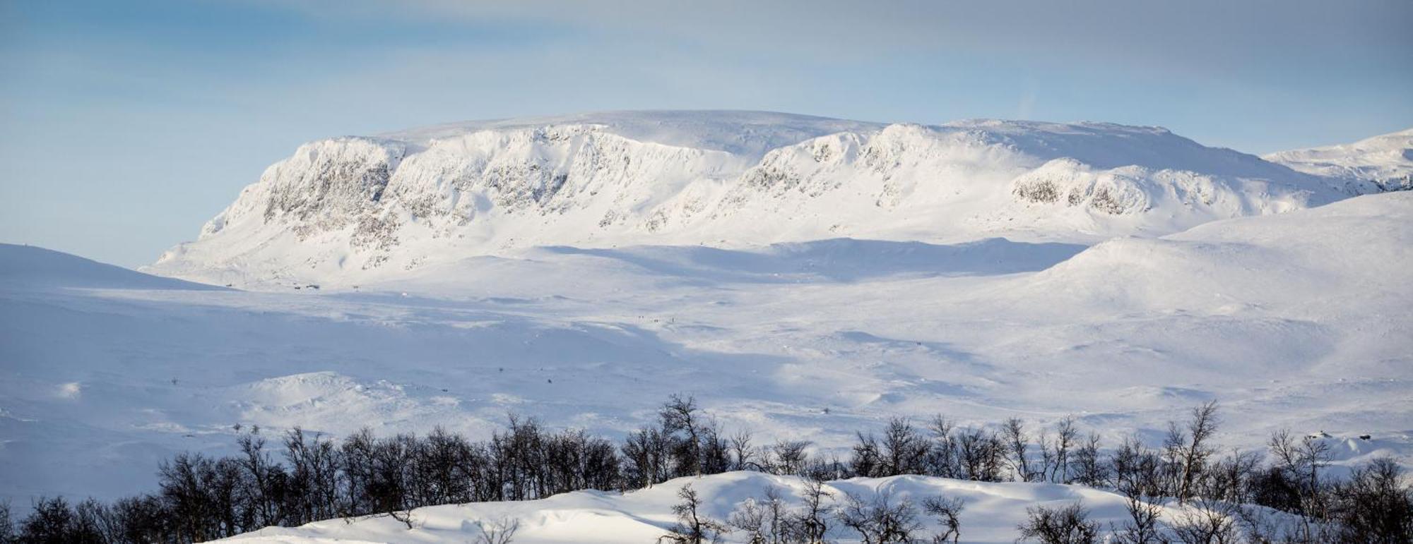 Koselig Hytte Med Usjenert Og Solrik Beliggenhet Гейло Екстериор снимка